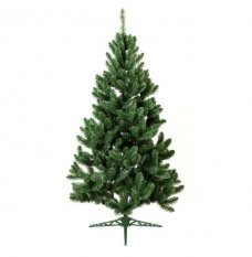 Jegenyefenyő karácsonyfa 150cm