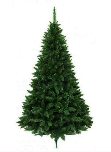 Karácsonyfa Jegenyefenyő 250cm hegyi