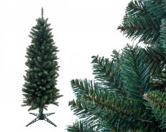 Božično drevo Smreka stebričasta 180cm