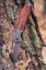 Összecsukható kés 63-115, 22cm