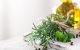 Začinsko bilje u kuhinji: lako ga možete uzgojiti na prozoru ili balkonu