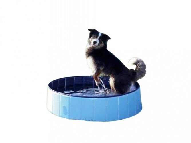Piscină pentru câini 120x30cm Blue