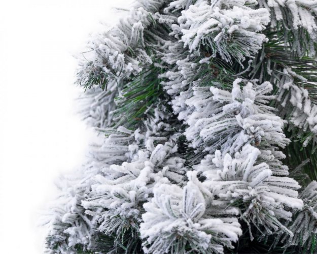 Karácsonyfa tönkön - Hegyi Lucfenyő 210cm Snowy