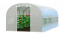 Vrtni rastlinjak BELI 3x6m z UV filtrom PREMIUM - 2x vrata