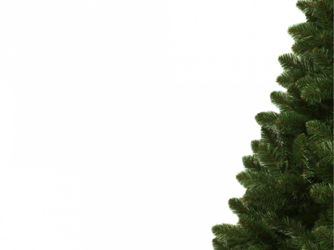 Weihnachtsbaum Tanne 180cm Classic