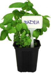 Suport etichetă pentru plante 14,5cm 30buc
