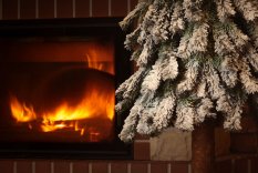Karácsonyfa tönkön - Hegyi Lucfenyő 170cm Snowy