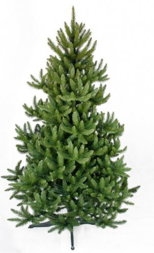 Weihnachtsbaum Wildfichte 220cm