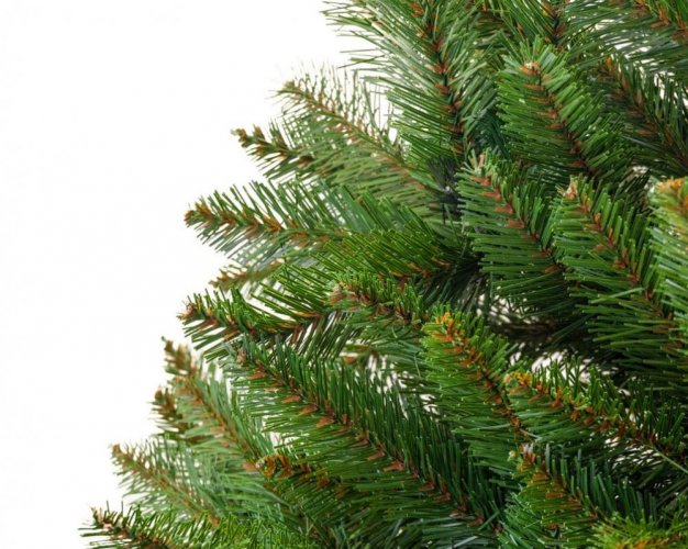 Božično drevo Smreka divja 250cm