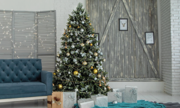 Božič pred vrati Kako si izbrati pravo božično drevo