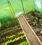 Solar de grădină 2,5x4m cu filtru UV PROFI Garden