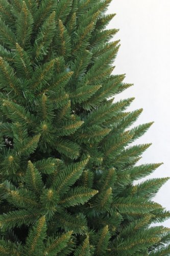 Božično drevo Kavkaška smreka 240 cm Premium