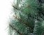 Božično drevo bor 220cm Icy Green