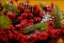 Weihnachtskranz mit roten Beeren 33 cm