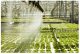 Care este necesarul de apă în culturile legumicole din sere și solarii?