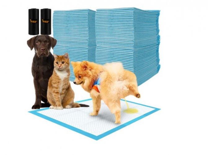 Абсорбираща подложка за кучета и котки 60 x 90cm - 1бр