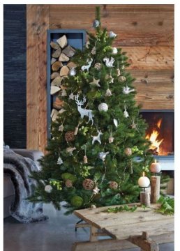 Božično drevo jelka: Klasika za vsak dom