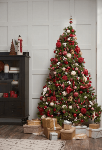 Weihnachtsbaum Kaukasus-Fichte 240cm Premium