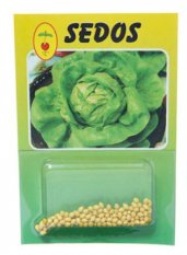 Salată verde căpățâne, de primăvară, Regele mai 150 semințe