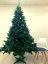 Božićno drvce Kavkaska smreka 240cm Premium