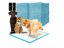 Covoraș absorbant pentru câini și pisici 40 x 60 cm - 10buc
