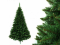 Karácsonyfa Jegenyefenyő 180cm hegyi
