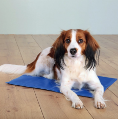 Hűsítő matrac kutyáknak 40x30cm Blue