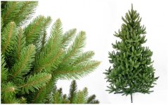 Weihnachtsbaum Wildfichte 250cm