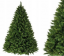 Božično drevo Kavkaška smreka 220 cm Premium