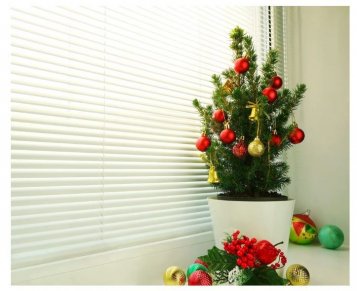 Kako izbrati idealno božično drevo za majhne prostore?
