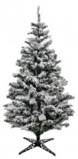 Karácsonyfa - Jegenyefenyő 120cm Snowy