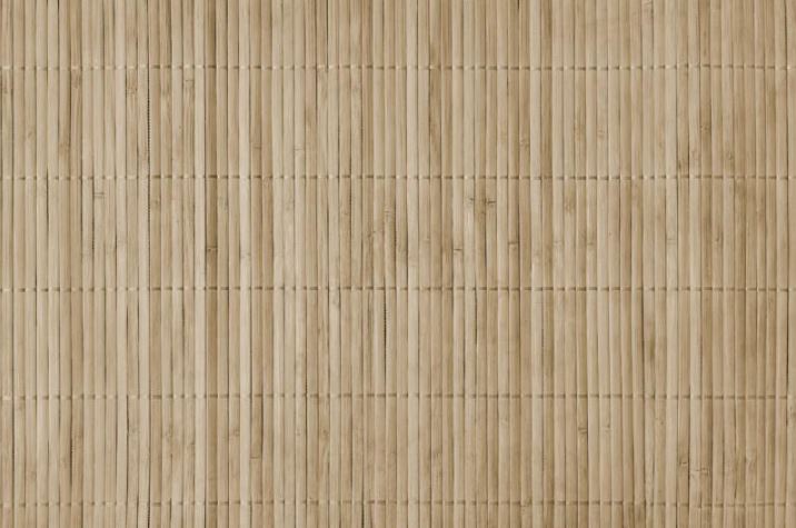 Paravan od bambusa 100x300cm 12mm