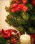 Božično drevo Jelka na mizi 60 cm Red Poinsettia