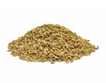 Semințe și răsaduri - Tipul de semințe și răsaduri - Amestec de semințe