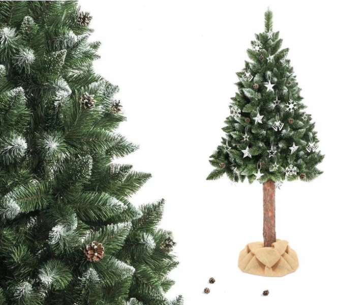 Brad de Crăciun pe trunchi - Pin Luxury Diamond 190 cm cu Conuri