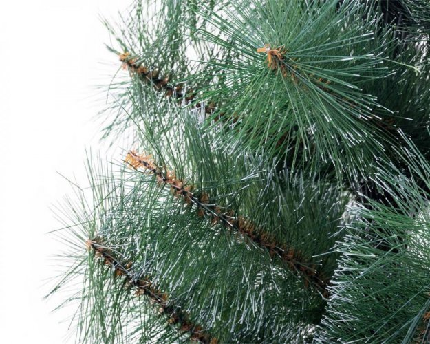 Božično drevo bor 180см Icy Green