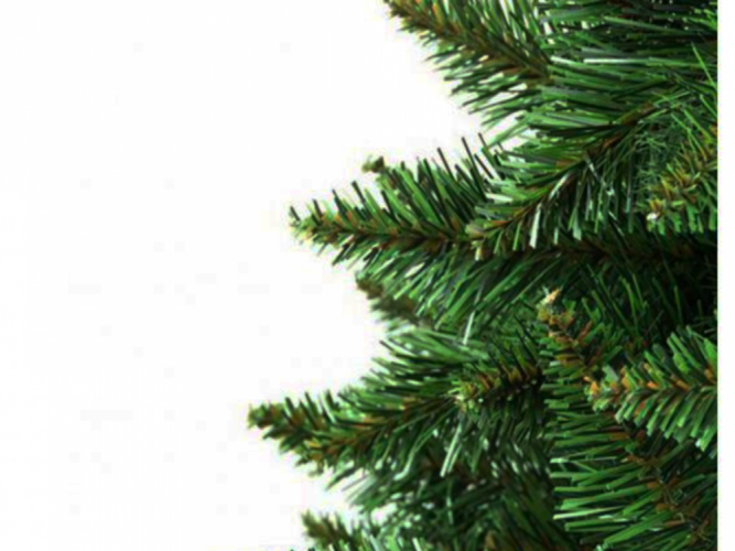 Božićno drvce Jela 250cm gorska