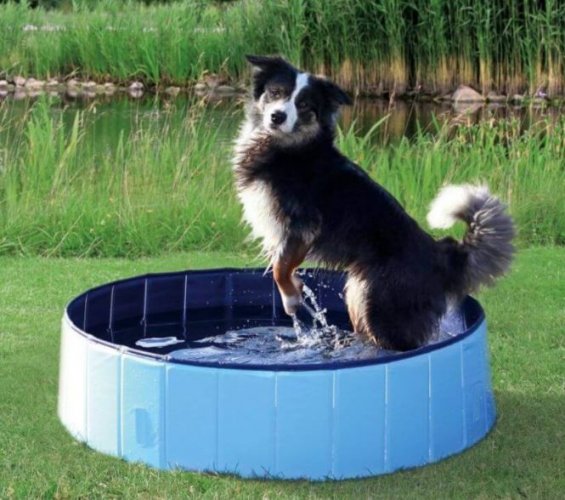 Kutya medence 160x30cm Blue