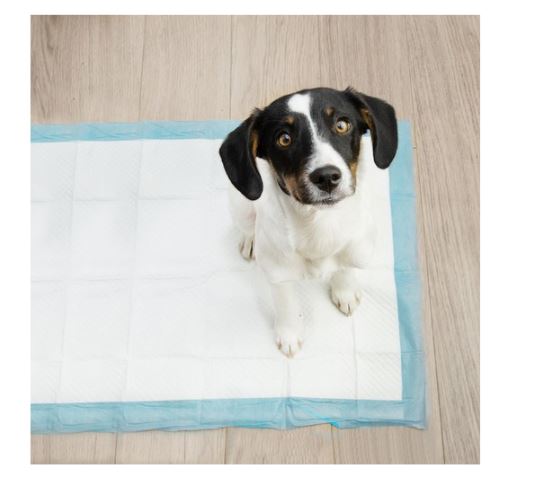 Tisztasági alátét kutyáknak és macskáknak 40 x 60 cm - 10 db