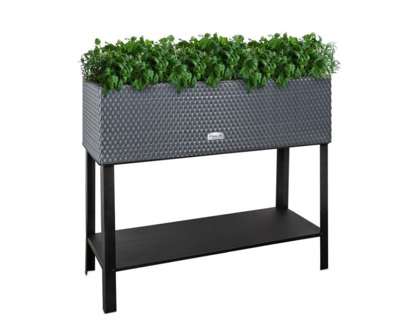 Önöntöző rattan virágcserép Vicenza Vicenza antracit 95x40x30