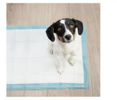 Covoraș absorbant pentru câini și pisici 60 x 90 cm - 1buc