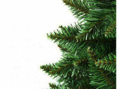 Božično drevo Jelka 220 cm gorska