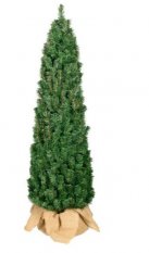 Brad de Crăciun 150cm în ambalaj de iută