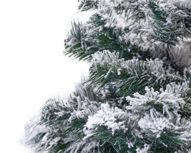 Karácsonyfa - Jegenyefenyő 150cm Snowy