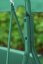 Balansoar pentru grădină Green 140cm FUNFIT RELAX