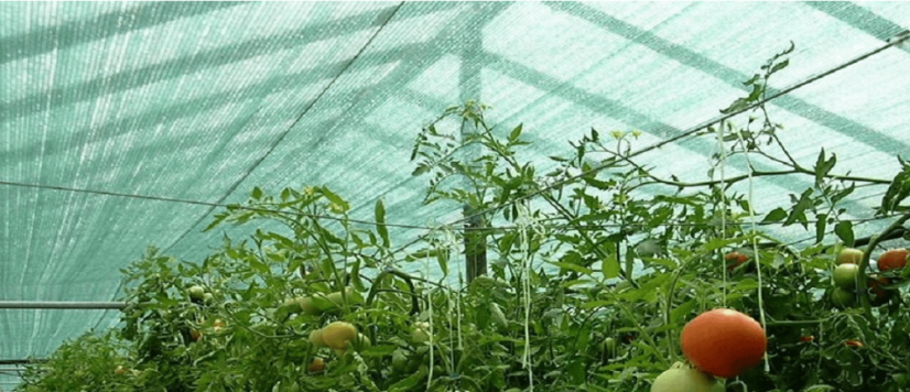 Plasă de umbrire GRI 1,5M x 50M, 90% grad de umbrire