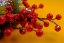 Božični vijenac s crvenim bobicama 33cm