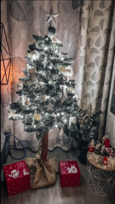 Brad de Crăciun pe trunchi - Pin Luxury Diamond 190 cm cu Conuri