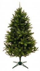 Karácsonyfa - Vad Lucfenyő 220cm