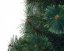 Božično drevo bor 220cm Chilly Green